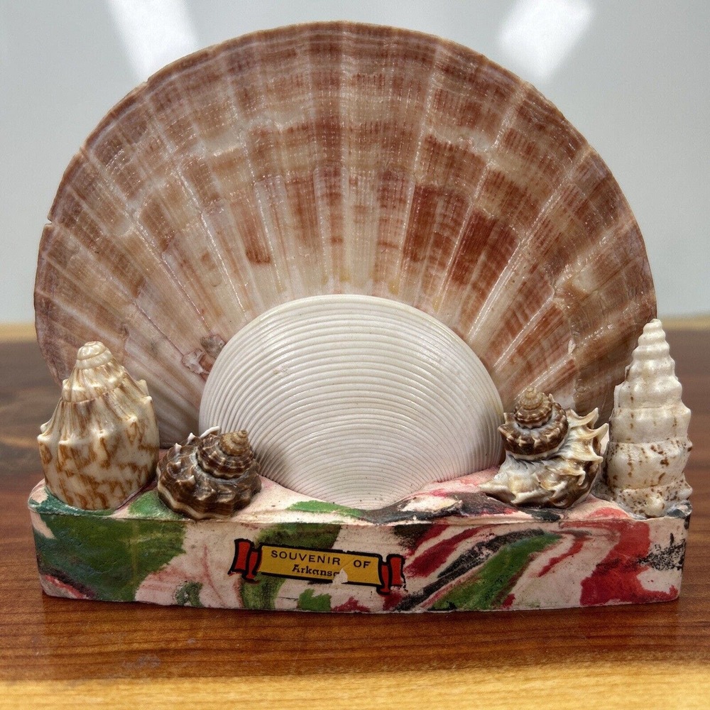 Arkansas Vintage Souvenir Sea Shell Letter Or Napkin Holder 5" x 5"